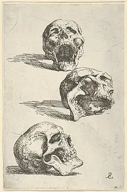 Three Human Skulls (1662), 14.2 × 9.2 cm.