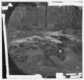 "Unburied Dead on Battlefield of Gaines Mills" by John Reekie; issued as Stero #916 see Library of Congress.